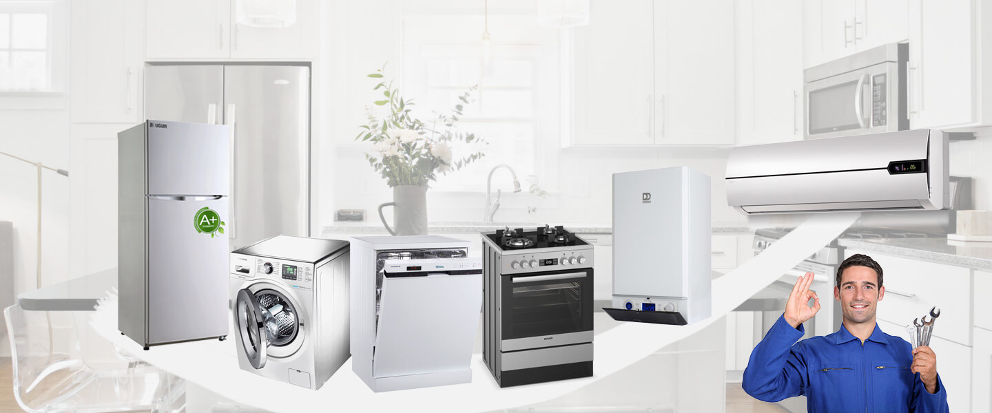 Basınsitesi Philips Servisi